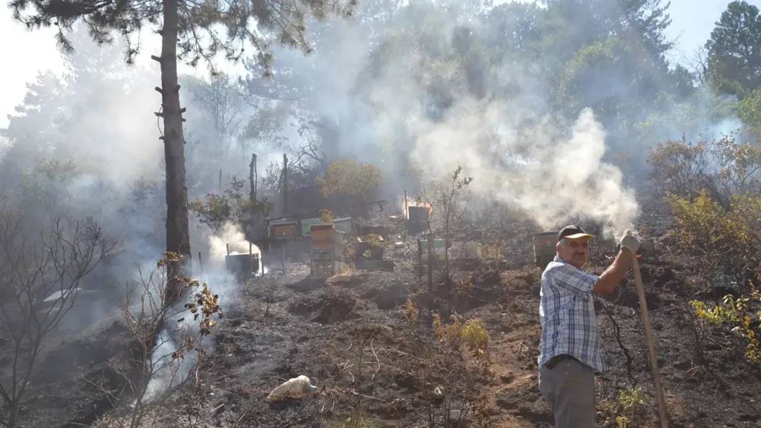 Kütahya'daki orman yangınları kontrol altında