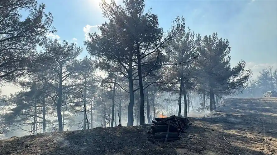 Kütahya'da ormanlık alanda çıkan yangına müdahale ediliyor