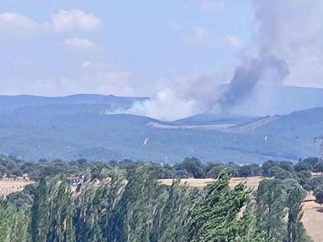 Kütahya'da ormanlık alanda çıkan yangına müdahale ediliyor