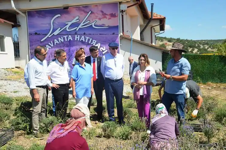 Kütahyalı çini sanatçısının lavanta bahçesinde hasat başladı