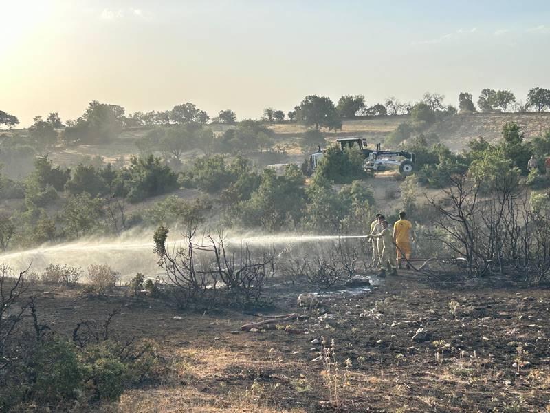 Uşak'ta ormanlık alana sıçrayan yangın kontrol altına alındı