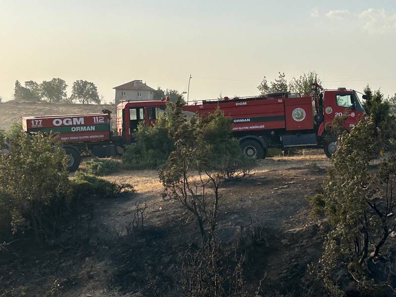Uşak'ta ormanlık alana sıçrayan yangın kontrol altına alındı