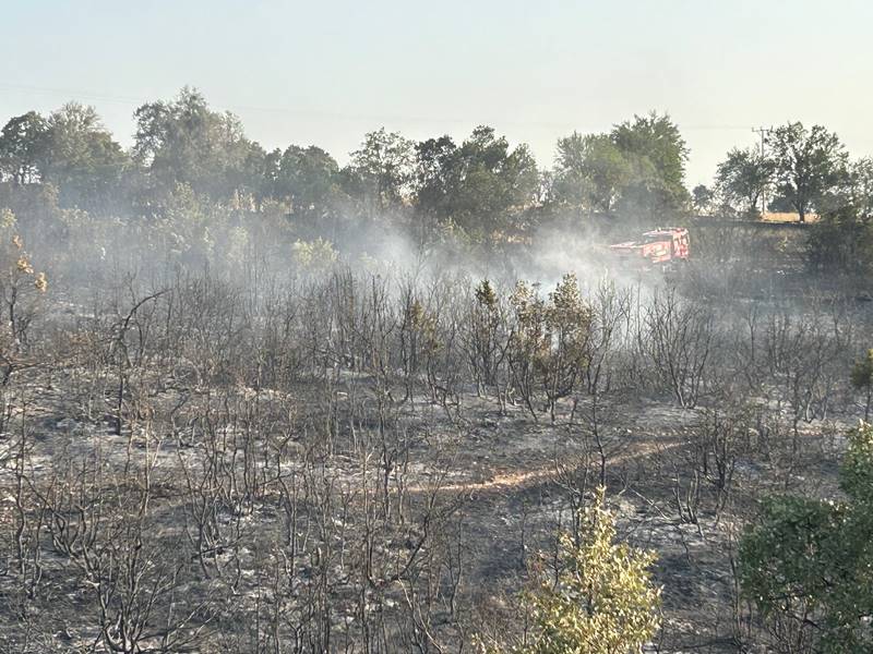 Uşak'ta ormanlık alana sıçrayan yangın kontrol altına alındı
