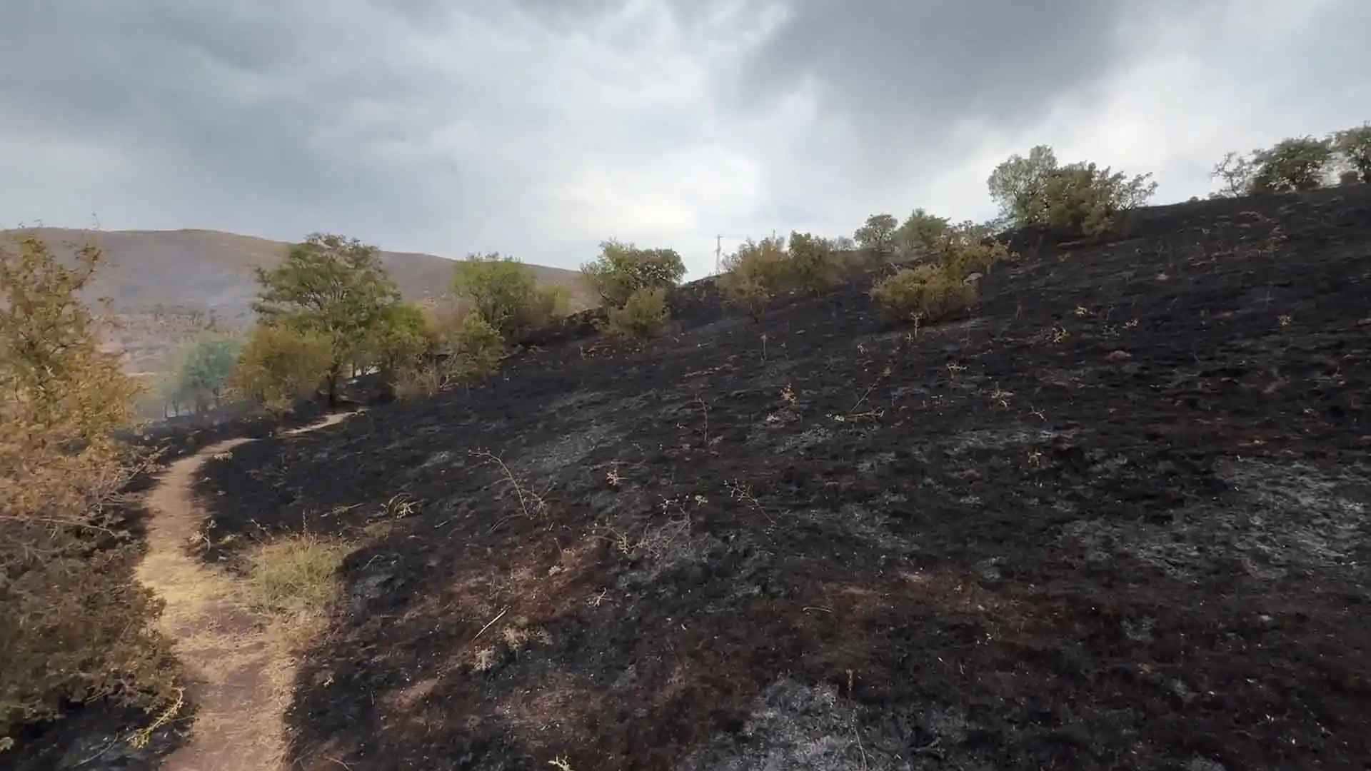 Elazığ'da 150 dönüm tarım arazisi zarar gördü