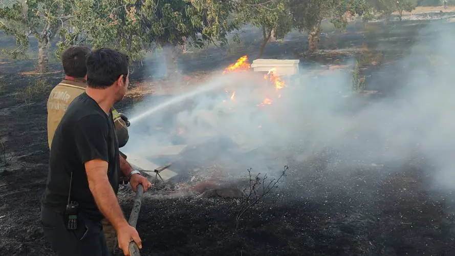 İzmirde yangın 18 dönümlük alan zarar gördü