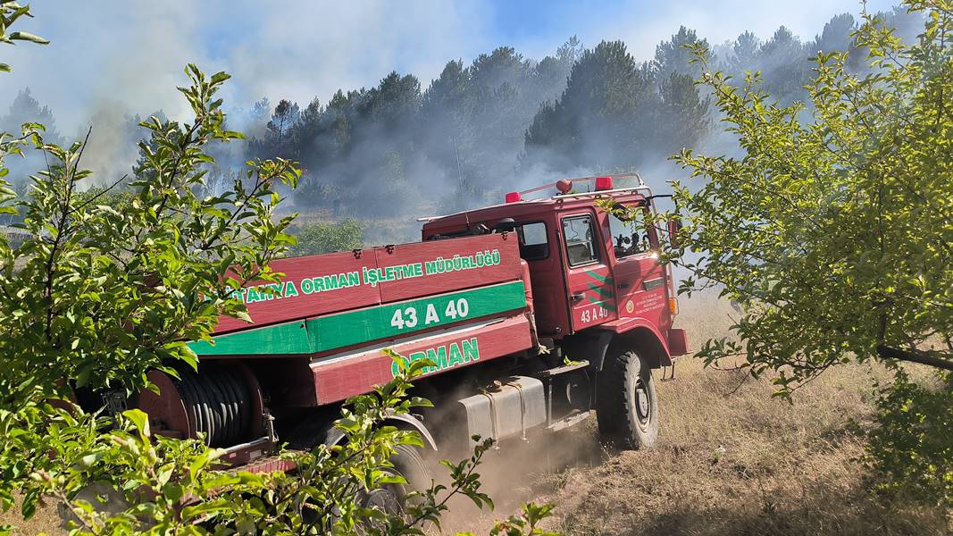 Kütahya'da artan sıcaklıklar orman yangını riskini yükseltti