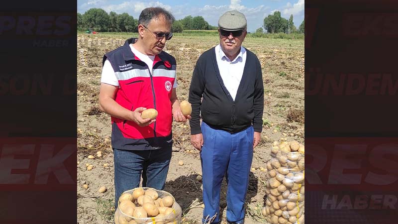 Kütahya Altıntaş’ta patates hasatları kontrol edildi