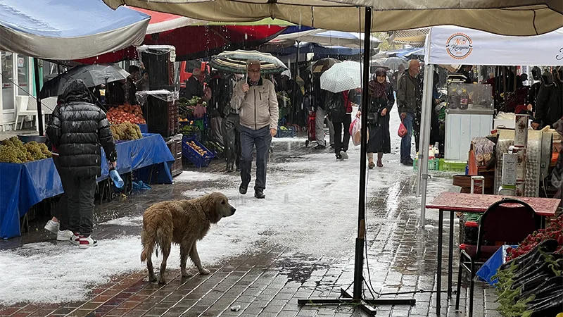 Kütahya Domaniç'te dolu ve sağanak hayatı felç etti