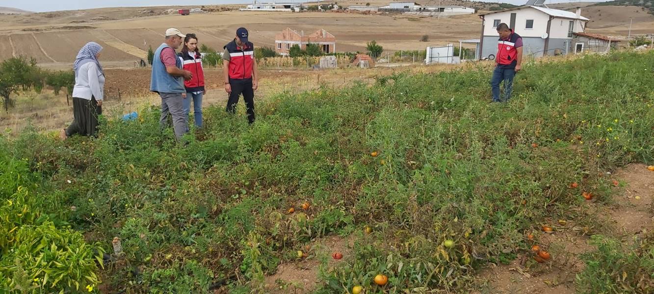 Kütahya’da seyir halindeki otomobil yandı</p>

<p>Kütahya’da seyir halindeki otomobil yanarak kullanılamaz hale geldi.</p>

<p>Yunus Emre Mahallesi’nde hareket halindeki 43 AEL 155 plakalı otomobilin motor kısmında yangın çıktı.</p>

<p>Aracın ön kısmından dumanlar yükseldiğini gören araç şoförü durumu itfaiyeye bildirdi.</p>

<p>İhbar üzerine olay yerine itfaiye ekipleri sevk edildi.</p>

<p>YANGINA İLK MÜDAHALEYİ BELEDİYE EKİPLERİ YAPTI</p>

<p>Yangının çıkmaya başladığı anlarda olay yerinden geçen Kütahya Belediyesi Su ve Kanalizasyon İşleri Müdürlüğü’ne ait vidanjör araç ilk müdahaleyi yaptı.</p>

<p>“YANGIN BENZİN HORTUMUNDAN ÇIKMIŞ”</p><div class=