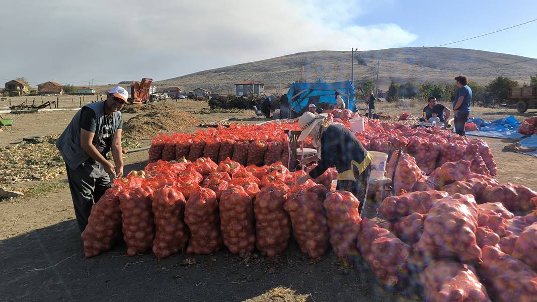 Kütahya’da hobi olarak başladı, 90 ton hasada ulaştı