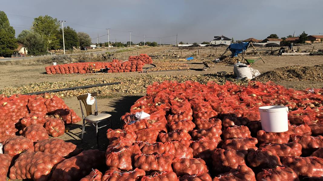 Kütahya’da hobi olarak başladı, 90 ton hasada ulaştı