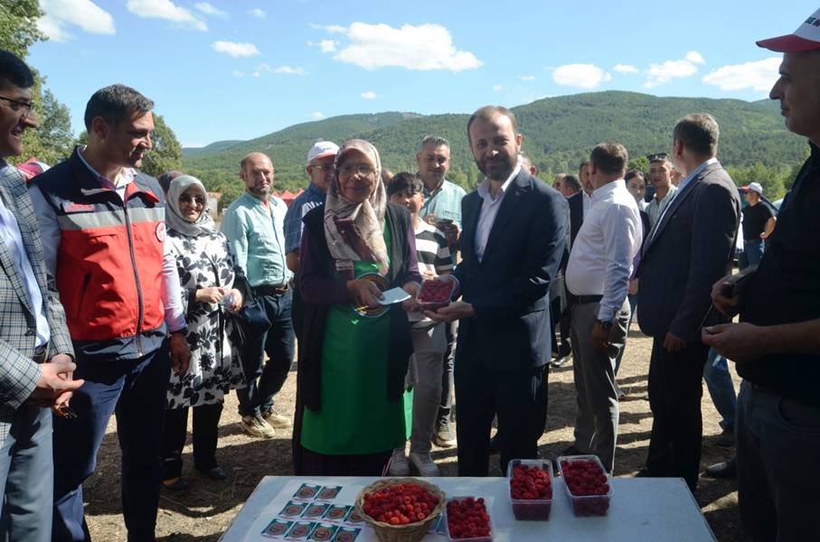 Kütahya'da yetişen en iyi ahududular seçildi