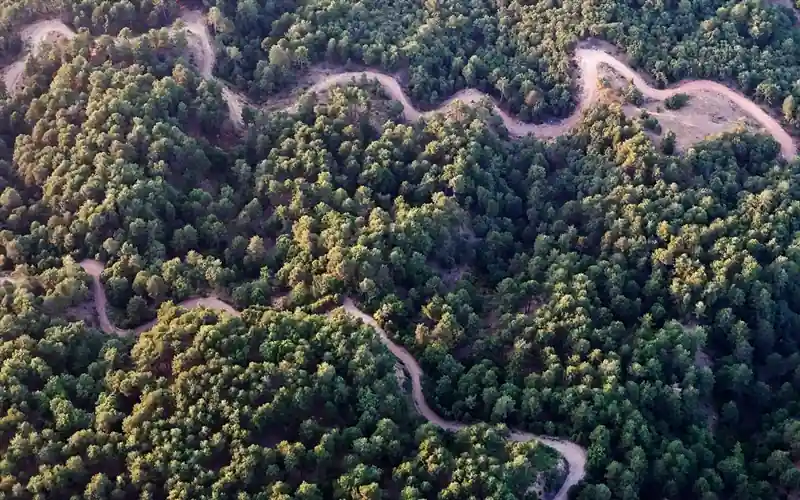 Kütahya’da Simav kestanesinde ‘verim’ mücadelesi kazanıldı