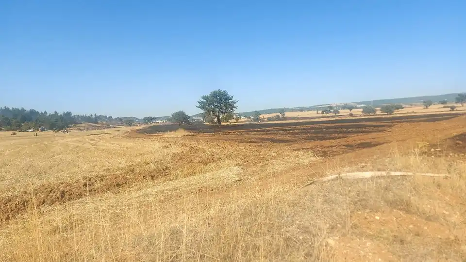 Kütahya'da ormanlık alana sıçrayan yangın söndürüldü