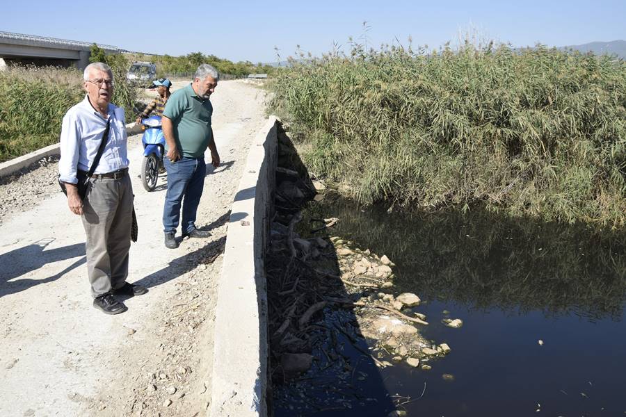 Manisa'da Gediz Nehri'nde balık ölümleri inceleniyor