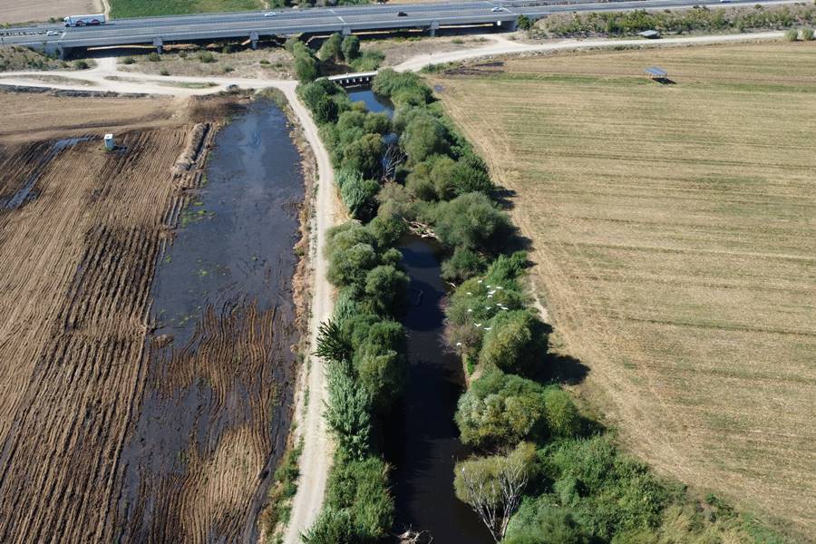 Manisa'da Gediz Nehri'nde balık ölümleri inceleniyor