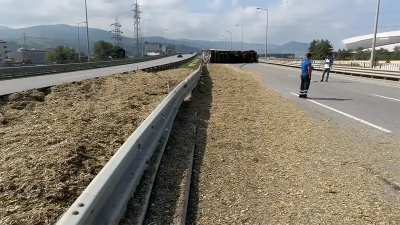 Samsun'da arı sokan tır şoförü kaza yaptı