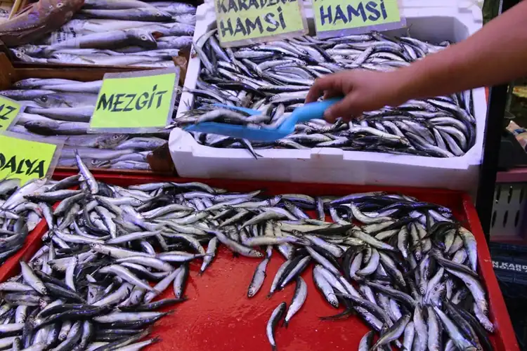 Sezon açıldı, Kütahya’da tezgahlar şenlendi