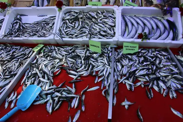 Sezon açıldı, Kütahya’da tezgahlar şenlendi