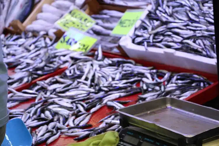 Sezon açıldı, Kütahya’da tezgahlar şenlendi