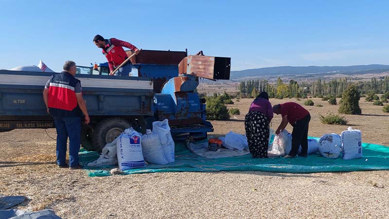 Çavdarhisar’da çerezlik kabak hasadı kontrolü yapıldı