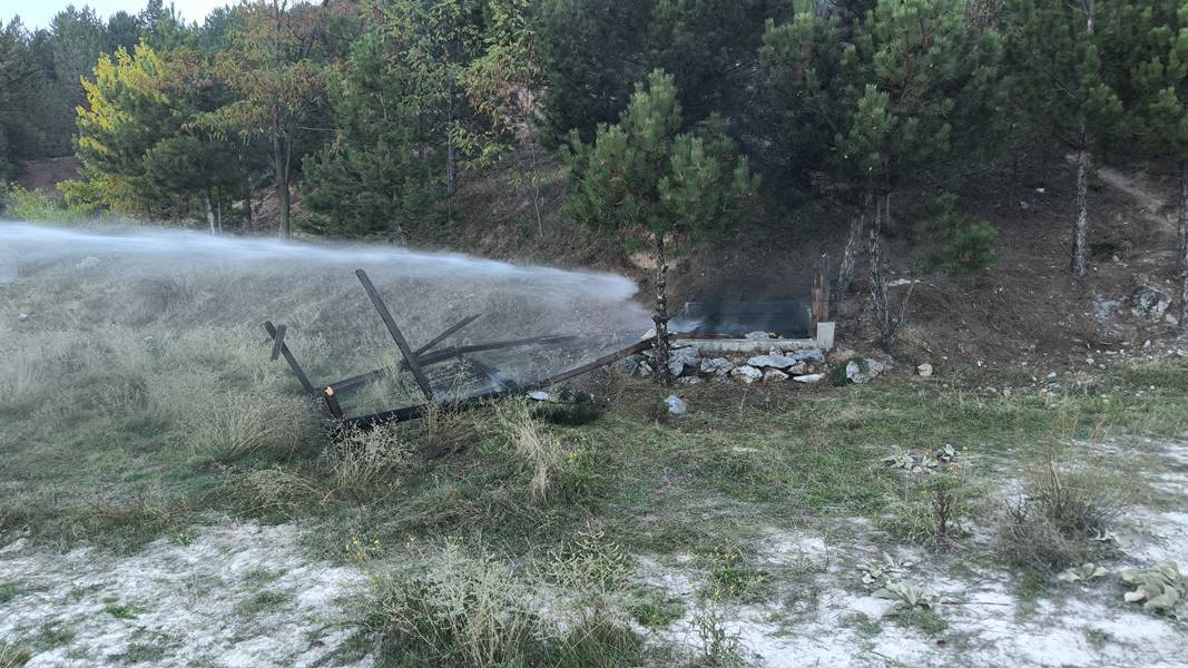 Kütahya’da gençler bu kez neredeyse ormanı yakacaktı