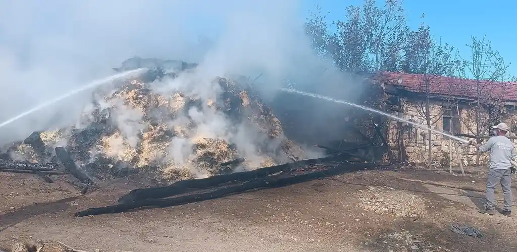 Kütahya’daki yangında samanlık kül oldu